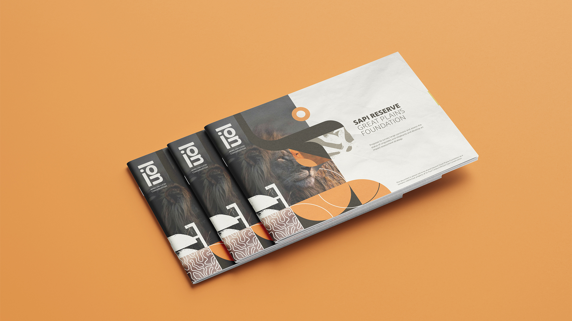 African Lion Conservation branding by MILK Studio, Stellenbosch